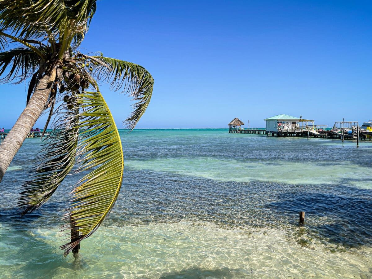 7 Awesome Things To Do on Caye Caulker, Belize The Marvelous Travelers